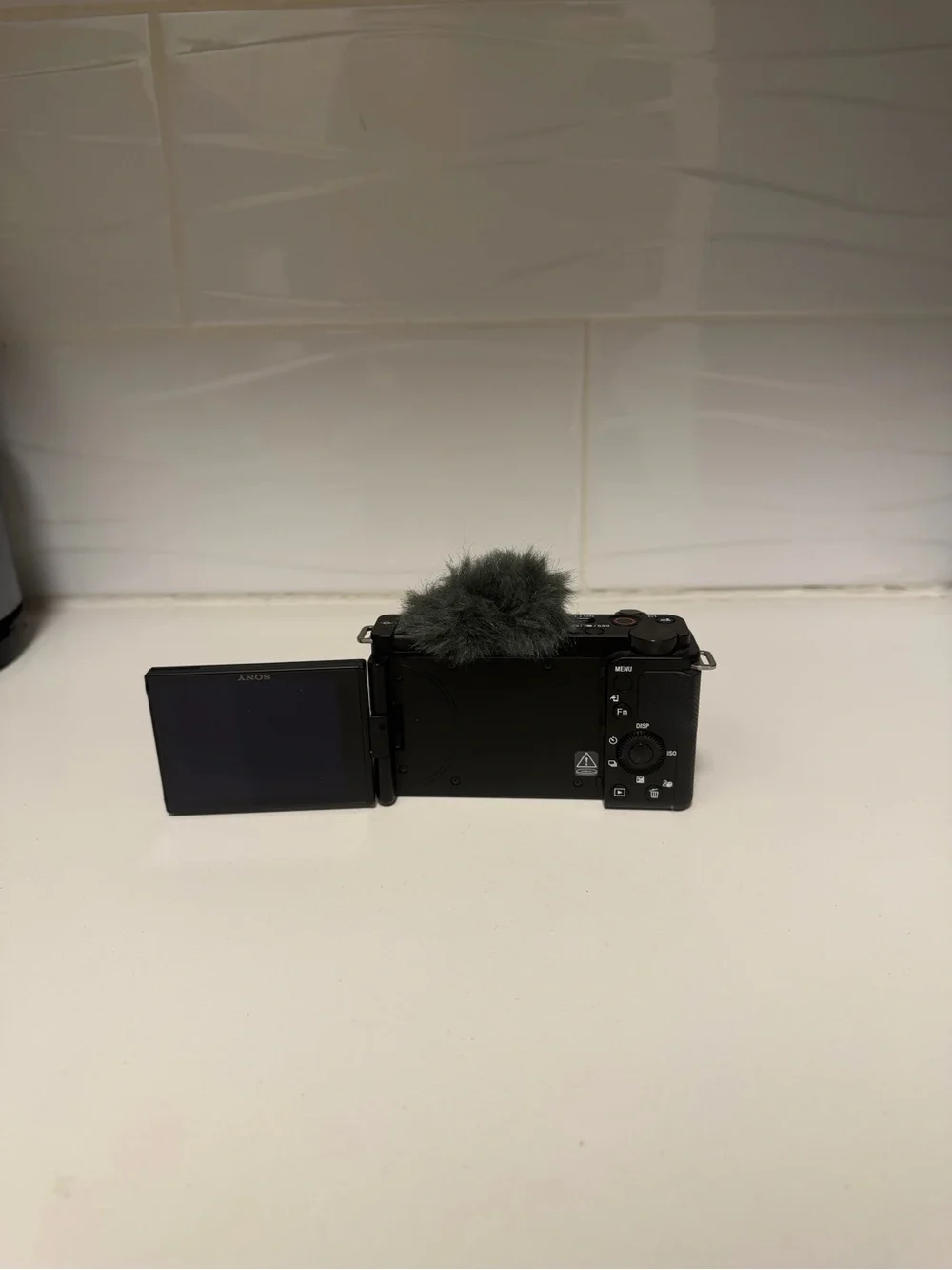 Sony Black Mirrorless Camera with Lens and Gray Wind Muff